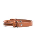 Egrey Leather Belt, Women's, Size: Medium, Brown, Leather
