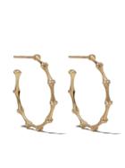 Annoushka 18kt Yellow Gold Dream Catcher Bamboo Diamond Hoop Earrings