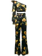 Philipp Plein In Flowers Two -piece - Black