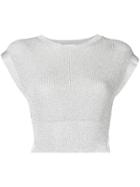 Laneus Cropped Knitted Top - Silver