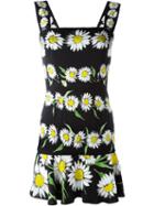 Dolce & Gabbana Daisy Print Dress, Women's, Size: 48, Black, Silk/spandex/elastane