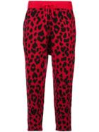 R13 Leopard Intarsia Knit Joggers - Red