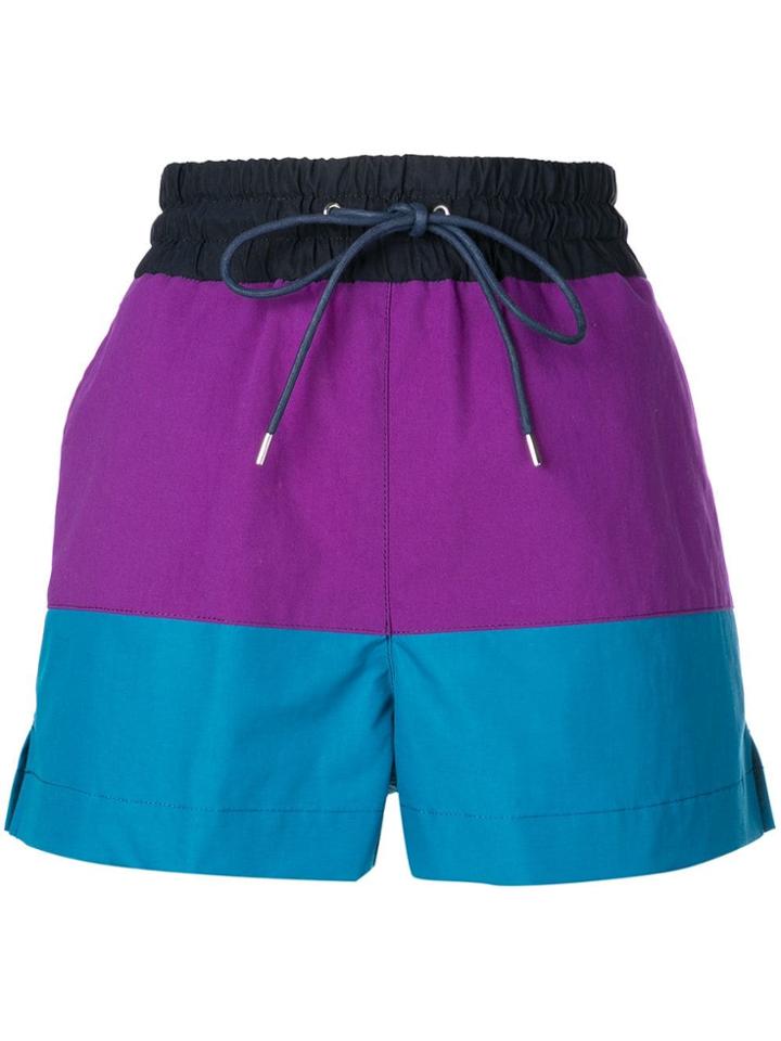 Sacai Colourblock Nylon Shorts - Blue