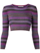 Cecilia Prado - Knit Crop Top - Women - Acrylic/lurex/viscose - P, Pink/purple, Acrylic/lurex/viscose