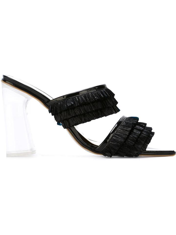 Amélie Pichard Raffia Embroideries And Plexi Heel Mules