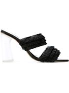 Amélie Pichard Raffia Embroideries And Plexi Heel Mules