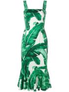 Dolce & Gabbana Banana Leaf Print Dress, Women's, Size: 40, White, Silk/spandex/elastane