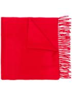 Begg & Co Classic Cashmere Fringed Scarf - Red