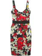 Dolce & Gabbana Daisy And Poppy Print Dress, Women's, Size: 44, Black, Cotton/silk/nylon/spandex/elastane