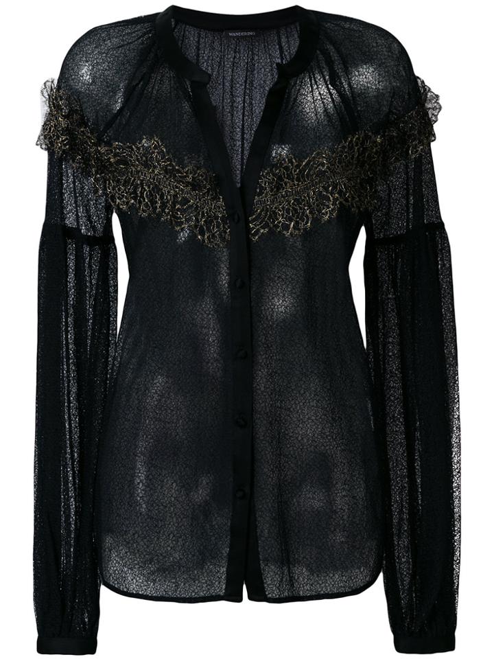 Wandering Lace Insert Sheer Blouse - Black