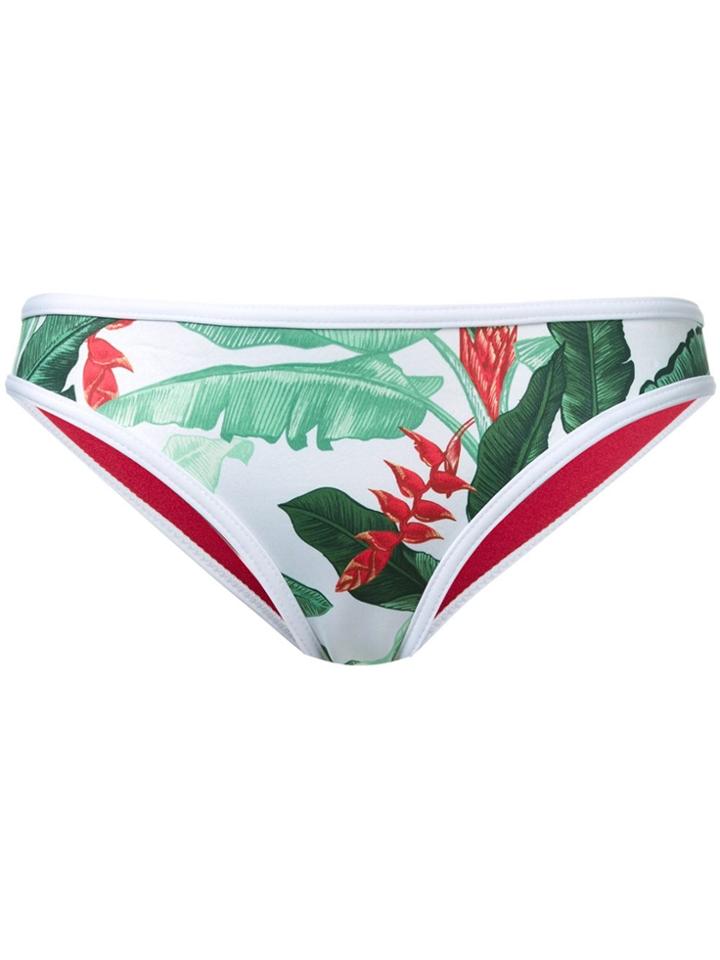 Duskii 'oasis' Regular Bikini Bottom - Multicolour