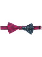 Etro Striped And Polka-dot Bow Tie - Multicolour