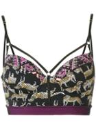 Janiero - Leopard Print Bikini Top - Women - Elastodiene/polyamide - P, Black, Elastodiene/polyamide