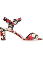Dolce & Gabbana Daisy And Poppy Print Sandals, Women's, Size: 41, Rubber/viscose/cotton