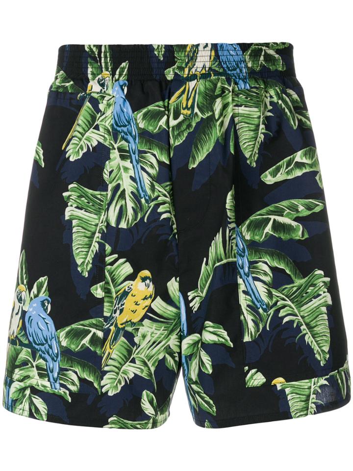 Stella Mccartney Parrot Print Shorts - Blue