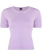 Pinko Fine Knitted Top - Purple