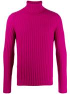 Leqarant Ribbed Knit Turtleneck Sweater - Pink