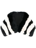 Etro Striped Fur Collar Scarf - Black