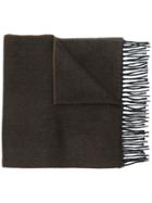 Lanvin 50505 - Brown