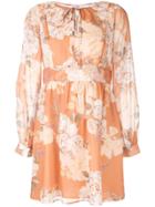 We Are Kindred Nellie Mini Dress - Orange