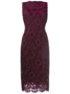 Dolce & Gabbana Floral Lace Fitted Dress, Women's, Size: 40, Pink/purple, Cotton/polyamide/viscose/polyamide