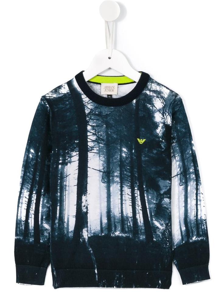 Armani Junior Forest Print Sweatshirt, Boy's, Size: 10 Yrs, Blue