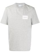 Calvin Klein Printed Logo T-shirt - Grey