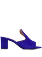 Paris Texas Open-toe Mules - Blue