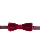 Dolce & Gabbana Velvet Bow Tie - Pink