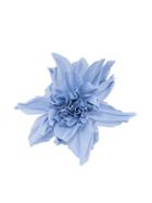 Erika Cavallini Flower Brooch - Blue