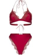 Oseree - Red
