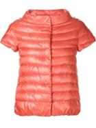 Herno Short Sleeve Padded Jacket, Women's, Size: 40, Yellow/orange, Polyamide
