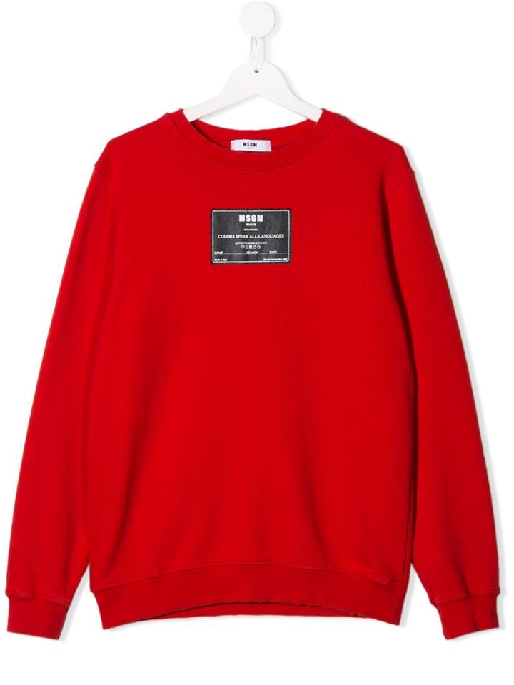 Msgm Kids 1977 Sweatshirtc - Red