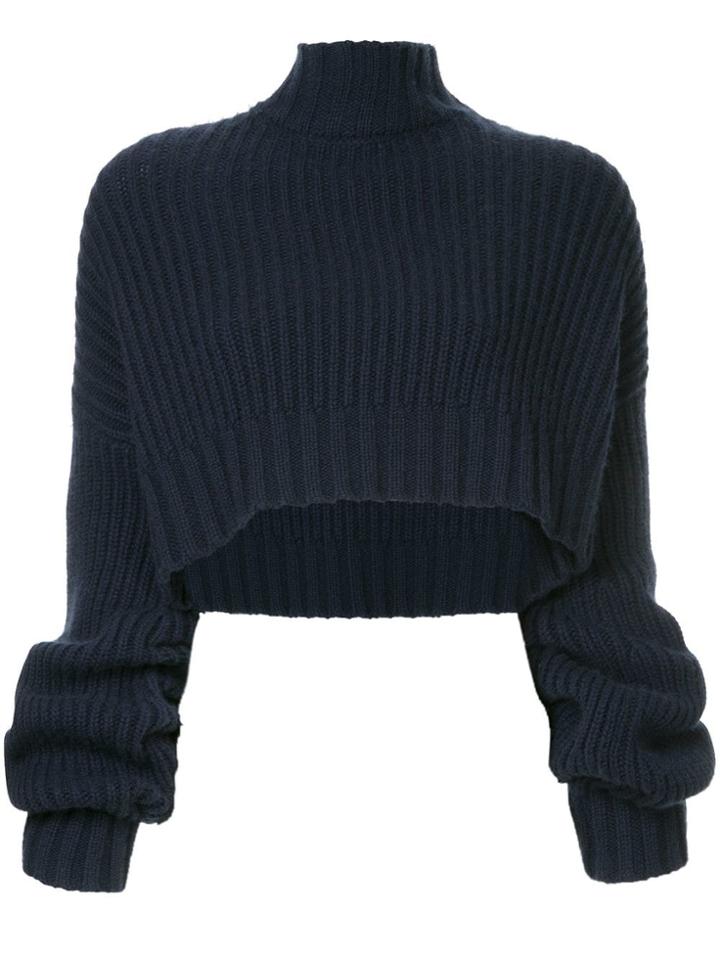 Dion Lee Oversized Cropped Jumper - Blue