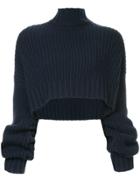 Dion Lee Oversized Cropped Jumper - Blue