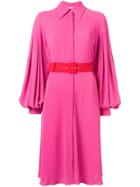 Emilia Wickstead Belted Shirt Dress - Pink