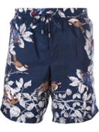 Dolce & Gabbana Bird Print Swim Shorts, Men's, Size: Iii, Blue, Polyamide