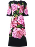 Dolce & Gabbana Rose Print Cady Dress - Black