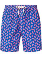 Mc2 Saint Barth Watermelon Print Swim Short - Blue