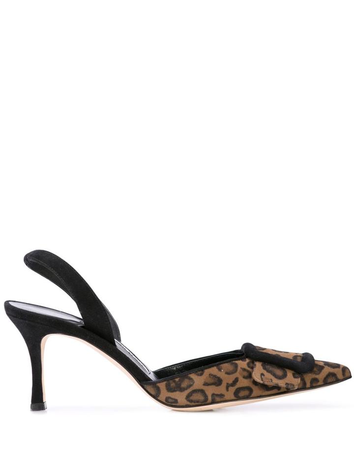 Manolo Blahnik Maysli Slingback Leopard Pumps - Black