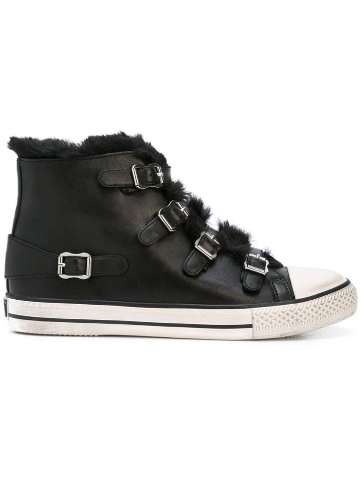 Ash Valko Buckled Hi-top Trainers - Black