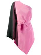 Etro Asymmetric Two-tone Top - Pink