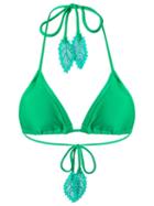 Martha Medeiros Triangle Bikini Top, Women's, Size: G, Green, Polyamide/spandex/elastane