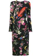 Dolce & Gabbana Rocket And Floral Midi-dress - Black