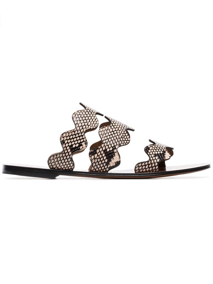 Chloé Lauren Snake Printed Sandals - Grey