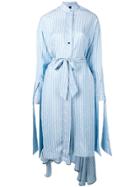 Petar Petrov Printed Poem Shirt Dress - Blue