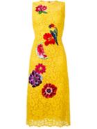 Dolce & Gabbana Embellished Lace Dress, Women's, Size: 40, Yellow/orange, Cotton/polyamide/viscose/nylon