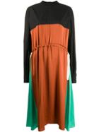 Plan C Long Sleeve Turtleneck Midi Dress - Black