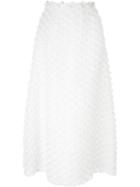 Rochas Appliqué A-line Maxi Skirt, Women's, Size: 42, White, Silk/polyamide