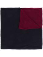 Joseph Block Cashair Novelty Scarf - Blue